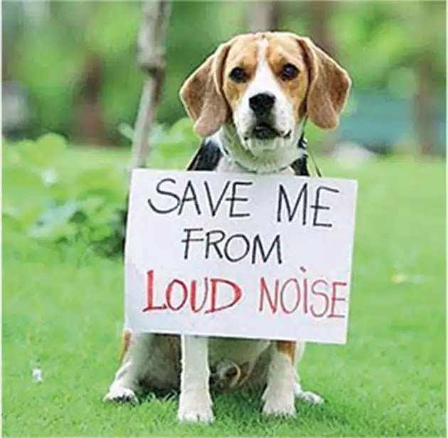 Poem On Anxious Dogs When They Hear Crackers Blasting Ears