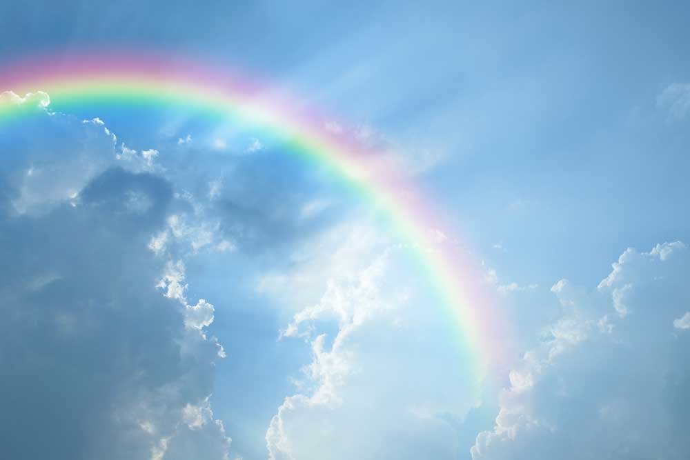 Resilient Bow of Hope – Poem On TSL Prompt